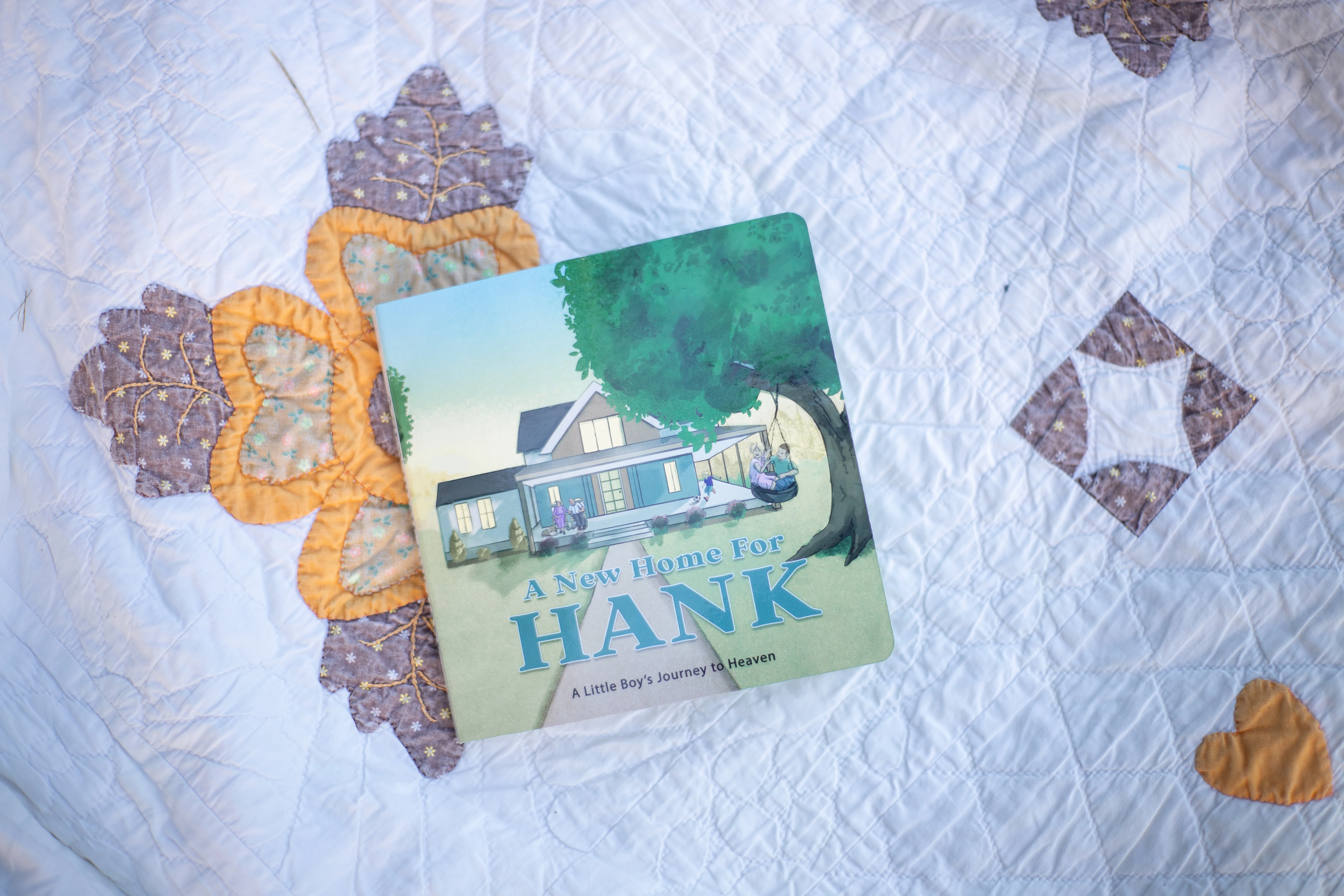 A New Home For Hank — hardcover board book cover